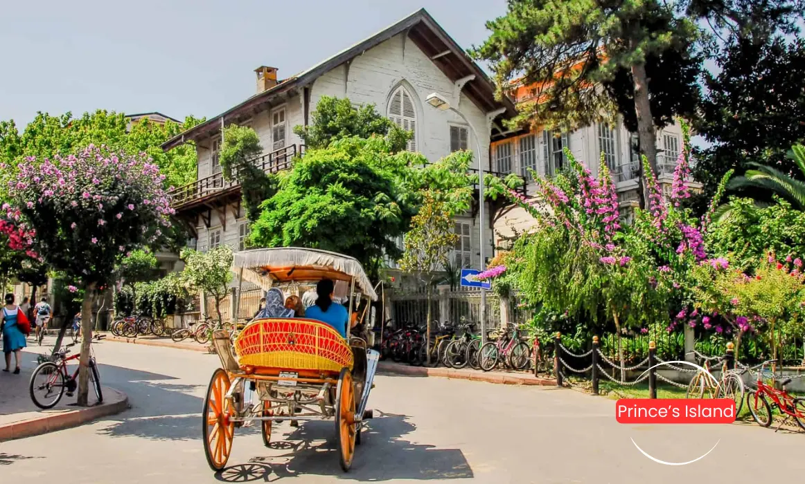 Princes' Islands Tour - Türkmen Life Turizm