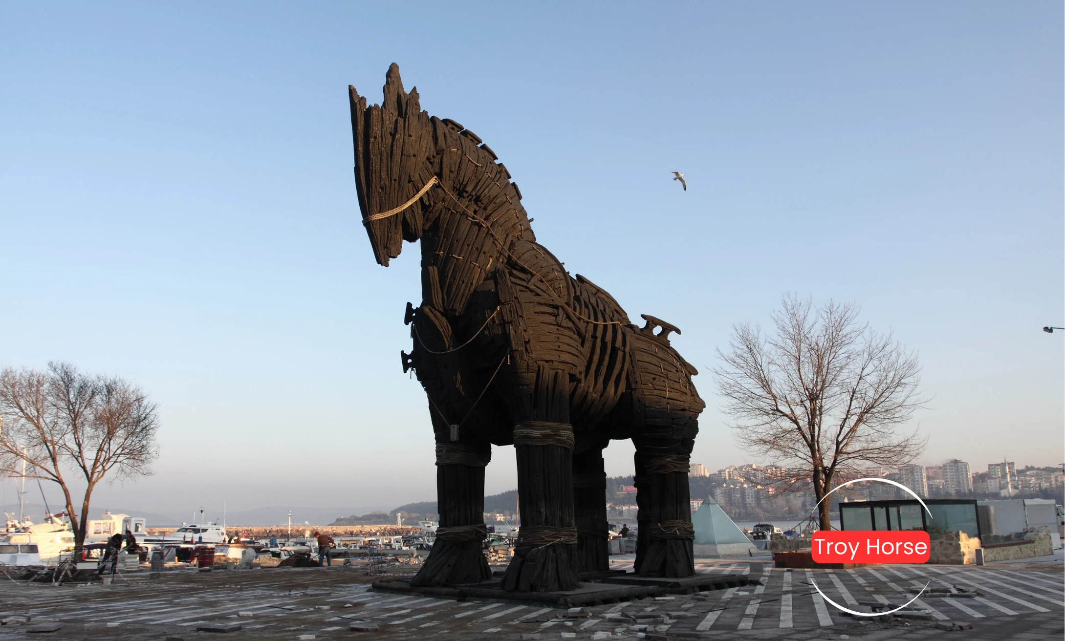 Troy Tour - Türkmen Life Turizm